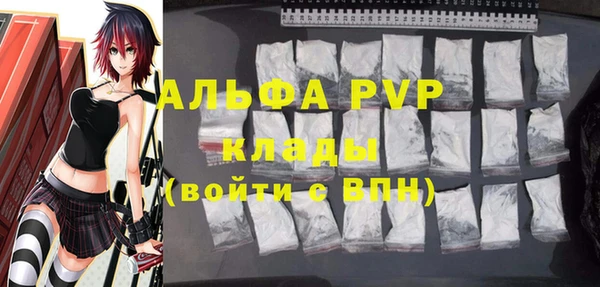 спиды Пересвет
