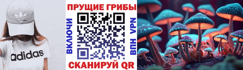 Псилоцибиновые грибы ЛСД  Среднеколымск 